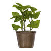 7" Green Potted Herbs Assort 3/pk - view 7 of 8